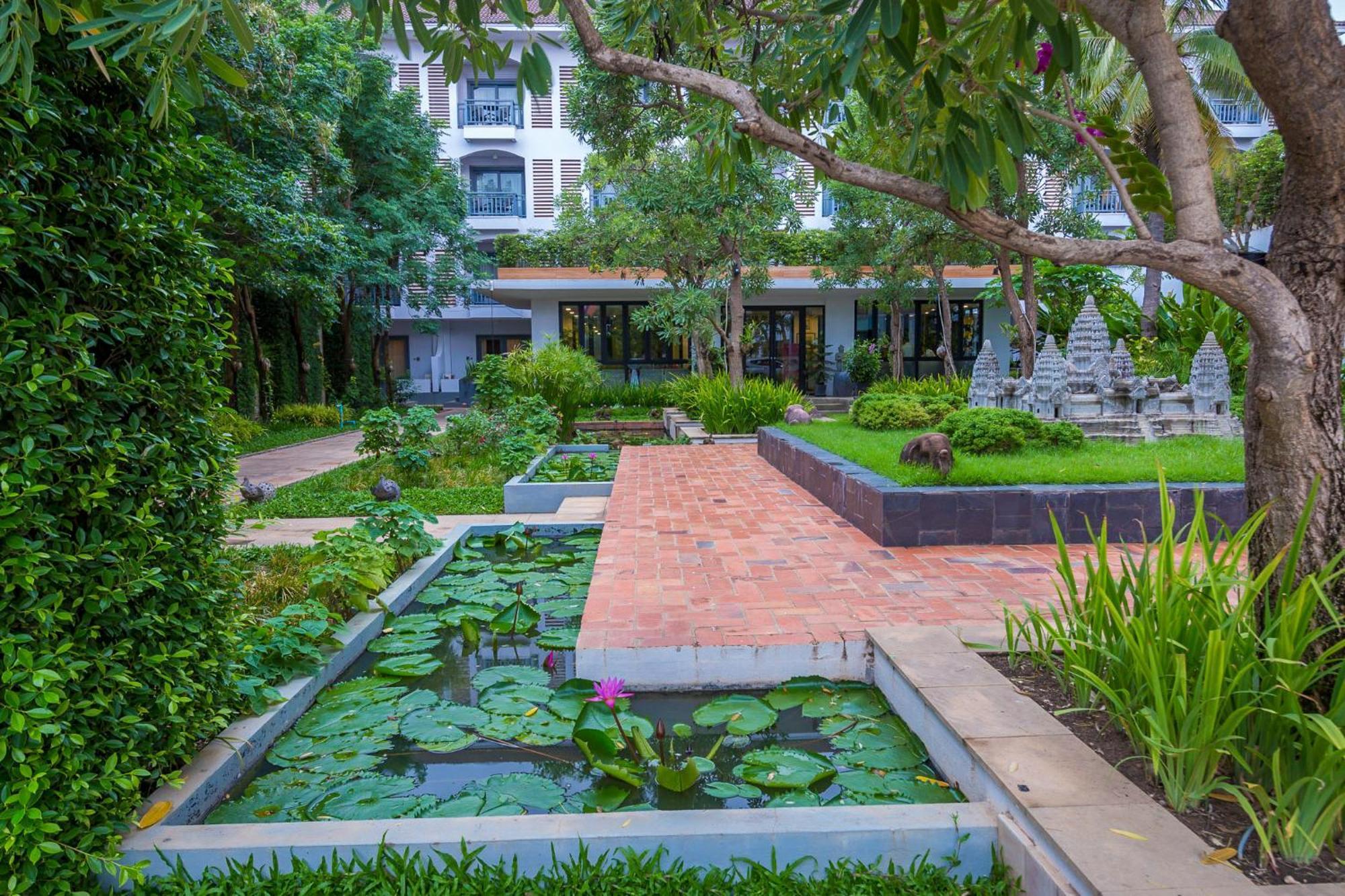 Damrei Angkor Siem Reap