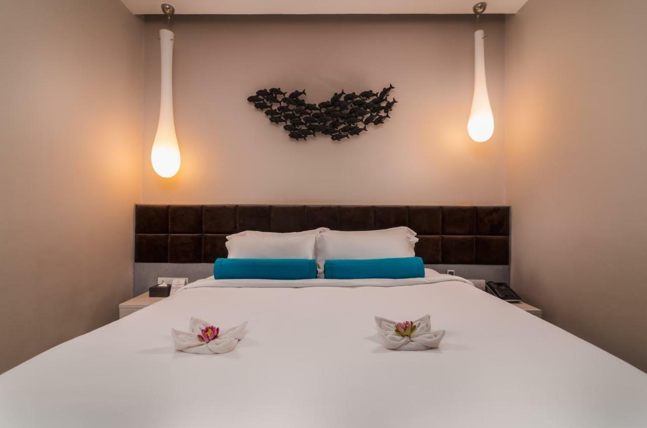 Damrei Angkor Hotel Siem Reap